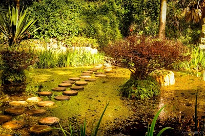Jardin andalou et Jardins exotiques de Bouknadel à Rabat-Salé – espaces verts historiques et botaniques du Maroc