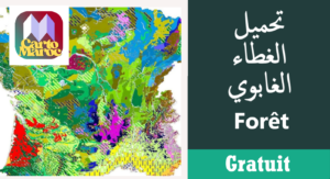 خريطة الغطاء الغابوي بالمغرب بصيغة Shapefile مع تصنيفات الغابات والتشكيلات النباتية - Carte de la couverture forestière du Maroc en Shapefile